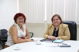 Reuni&otilde;es tratam de eventos sobre ado&ccedil;&atilde;o e prote&ccedil;&atilde;o &agrave; mulher v&iacute;tima de viol&ecirc;ncia